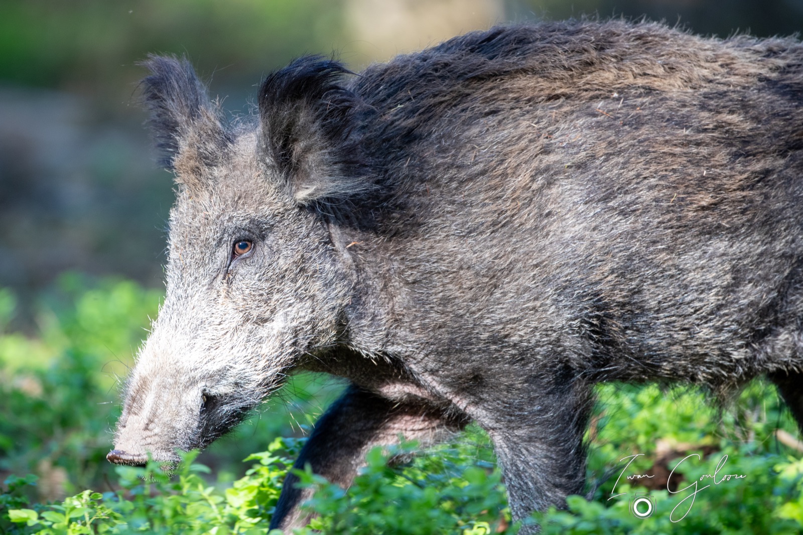 08 mei 2022 180840 1DX42868